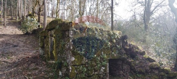 9 bedrooms House in Braga, Portugal No. 33721 30