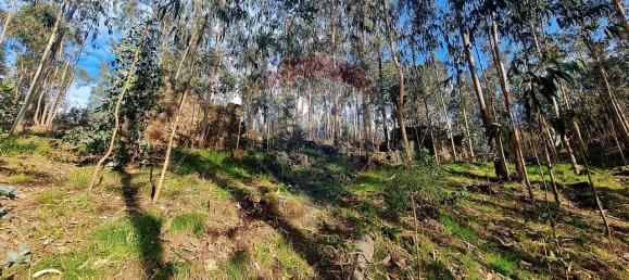 9 bedrooms House in Braga, Portugal No. 33721 24