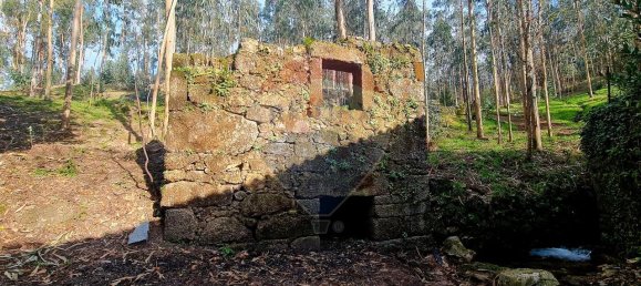 9 bedrooms House in Braga, Portugal No. 33721 9