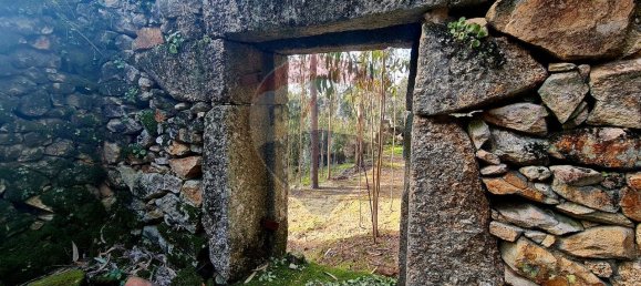 9 bedrooms House in Braga, Portugal No. 33721 33