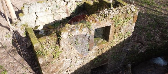 9 bedrooms House in Braga, Portugal No. 33721 46