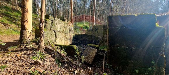 9 bedrooms House in Braga, Portugal No. 33721 6