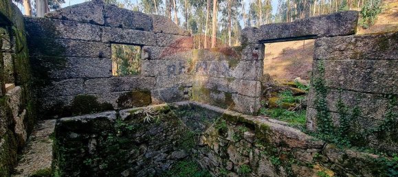 9 bedrooms House in Braga, Portugal No. 33721 18