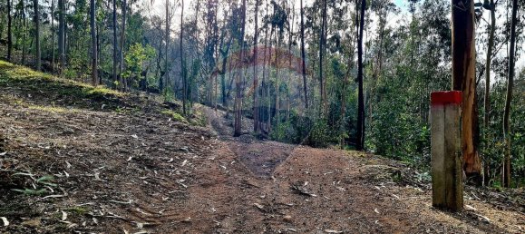 9 bedrooms House in Braga, Portugal No. 33721 38