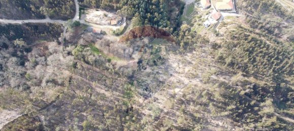 9 bedrooms House in Braga, Portugal No. 33721 47