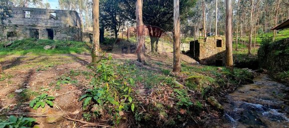 9 bedrooms House in Braga, Portugal No. 33721 3