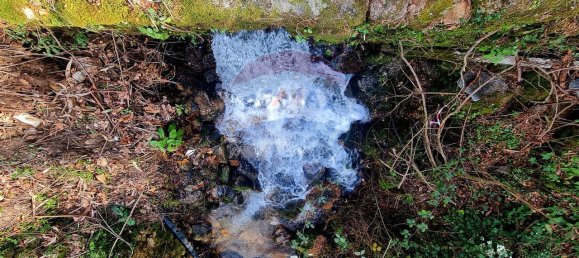 9 bedrooms House in Braga, Portugal No. 33721 11