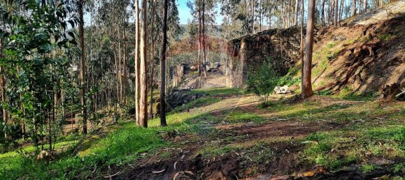 9 bedrooms House in Braga, Portugal No. 33721 37