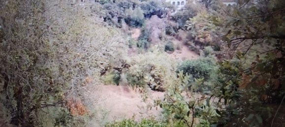  Land in Marbella, Spain No. 136750 7