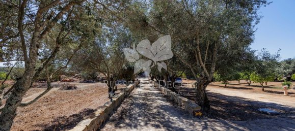 3 bedrooms House in Faro, Portugal No. 138839 20