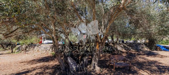 3 bedrooms House in Faro, Portugal No. 138839 19