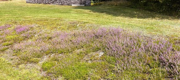 1 غرف نوم منزل في Schwarzenberg am Bohmerwald, Austria رقم 222812 23
