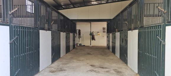 4 Schlafzimmer Haus in Sanlucar de Barrameda, Spain, Nr. 138966 26