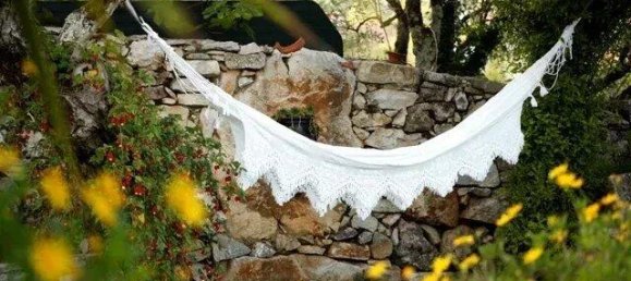 17 bedrooms Villa in Alfarelos, Portugal No. 224785 43