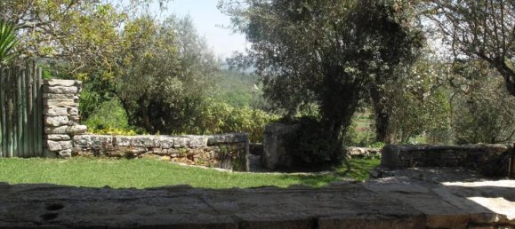 17 bedrooms Villa in Alfarelos, Portugal No. 224785 30