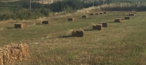 5-Zimmer Haus in Agrigento, Italy, Nr. 255598 8