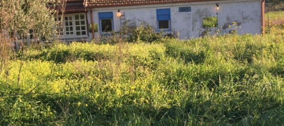 5-Zimmer Haus in Agrigento, Italy, Nr. 255598 7