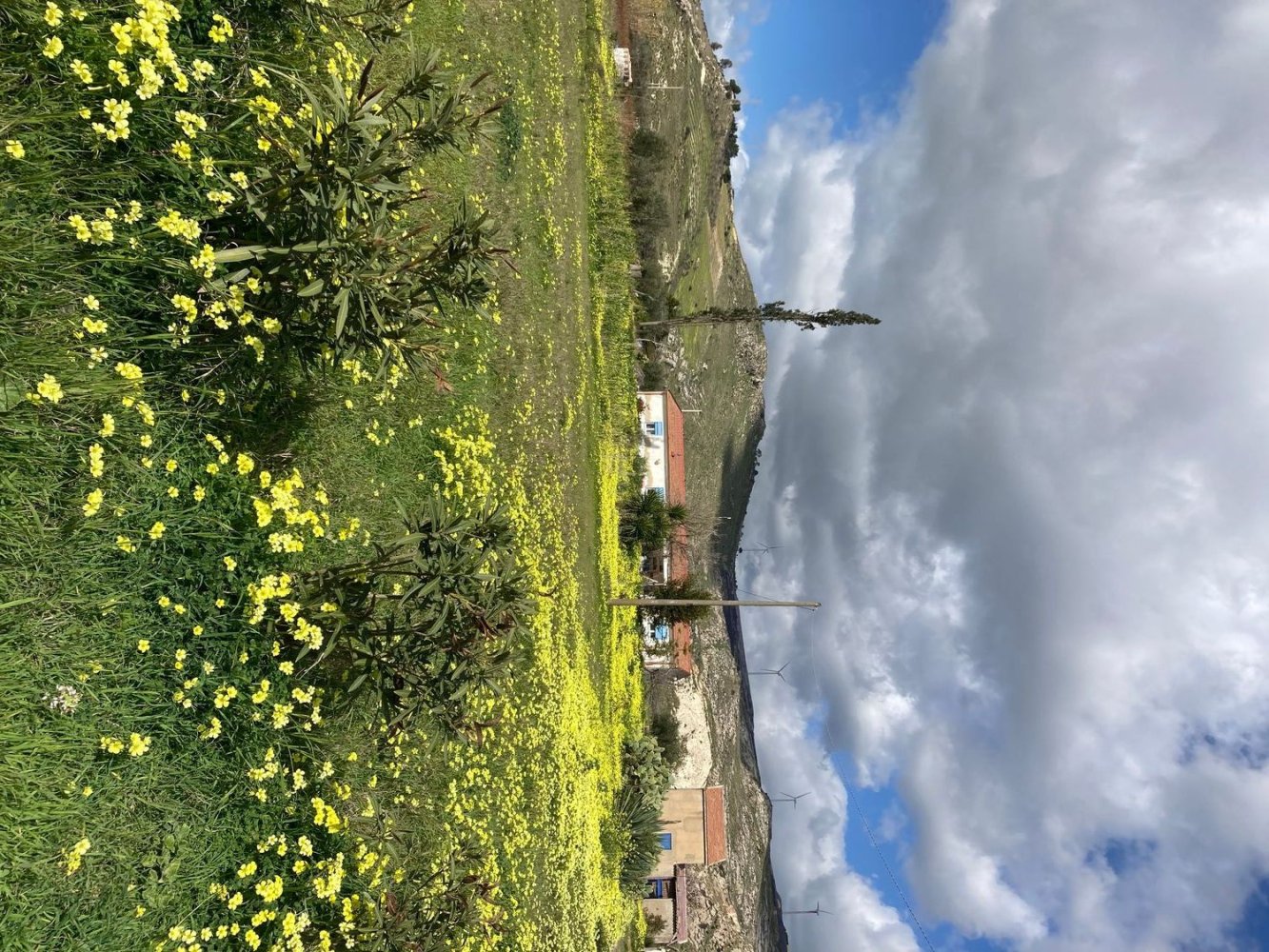 5-salle Maison à Agrigento, Italy No. 255598