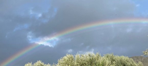 5-Zimmer Haus in Agrigento, Italy, Nr. 255598 15