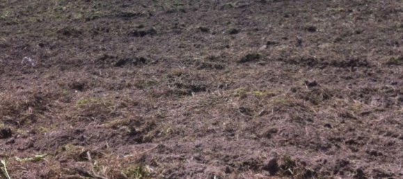 5-Zimmer Haus in Agrigento, Italy, Nr. 255598 17