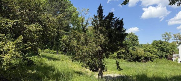 Terreno en Liesing, Austria No. 148760 46