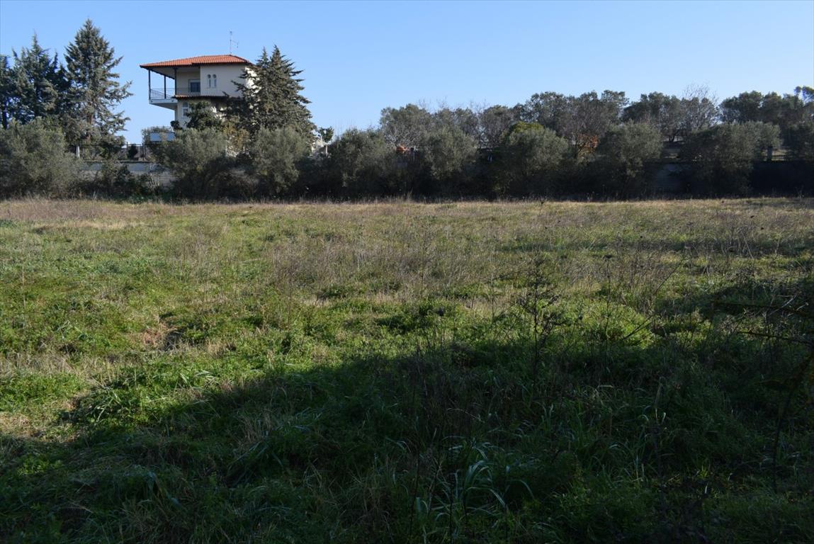 3000 m² hotel en venta en Thessaloniki, Central Macedonia, Macedonia and Thrace, Greece № 4320