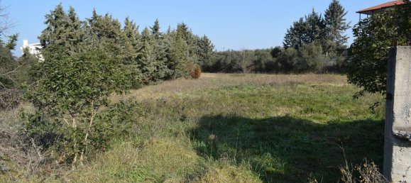 Hotel in Thessaloniki, Greece 3000m², Nr. 4320 4