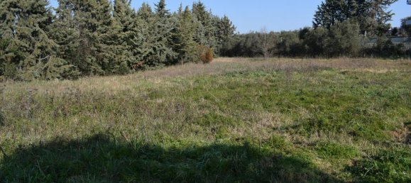 Hotel in Thessaloniki, Greece 3000m², Nr. 4320 2