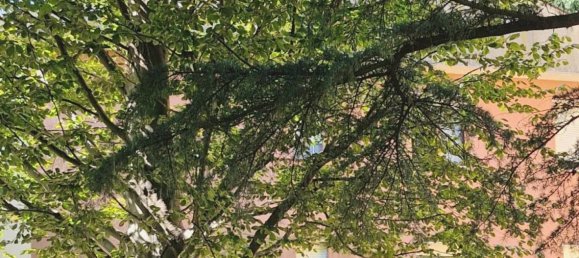 Apartamento de 3 dormitorios en Induno Olona, Italy No. 363528 16