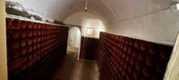 4 Schlafzimmer Haus in Viana do Alentejo, Portugal, Nr. 189942 14