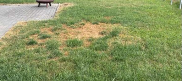 Дом с 3 спальнями в Швебиш Халль, Германия № 320106 8