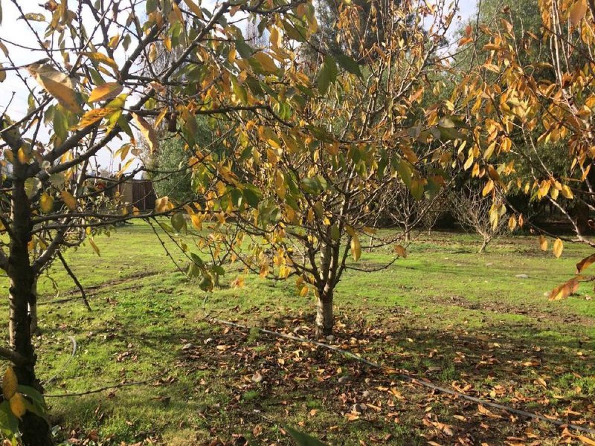 4 bedrooms House in Santiago Metropolitan, Chile No. 3962