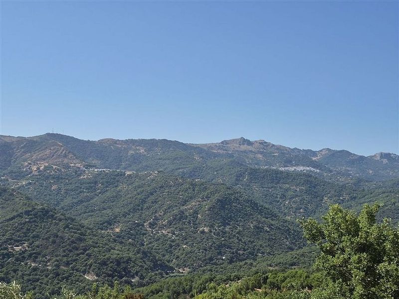 Terreno en Málaga, Spain 44000 m² No. 220309