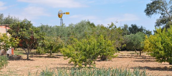 4 غرف نوم منزل في Albons, Spain رقم 27739 24