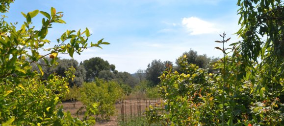 4 غرف نوم منزل في Albons, Spain رقم 27739 27