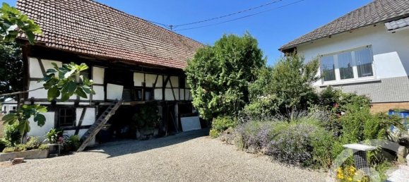 3 chambres Maison à Plobsheim, France No. 325579 3