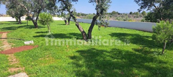 Gewerbliche Immobilie in San Donato di Lecce, Italy 700m², Nr. 313480 29