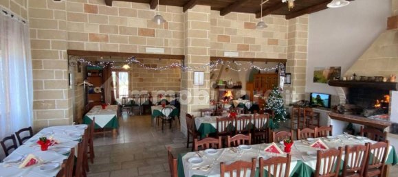 Gewerbliche Immobilie in San Donato di Lecce, Italy 700m², Nr. 313480 12