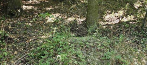 892m² Land in St. Andra-Wordern, Austria No. 93051 16