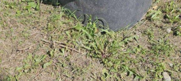 892m² Land in St. Andra-Wordern, Austria No. 93051 17