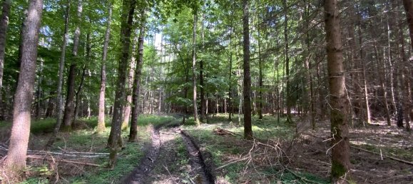  Land in Rosenheim, Germany No. 222034 6