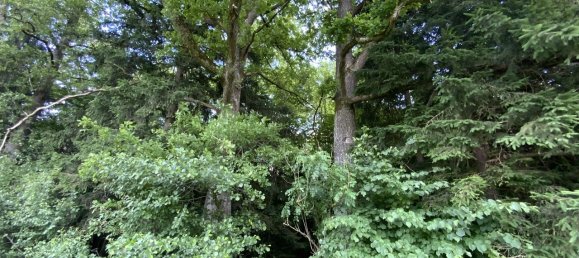  Land in Rosenheim, Germany No. 222034 4