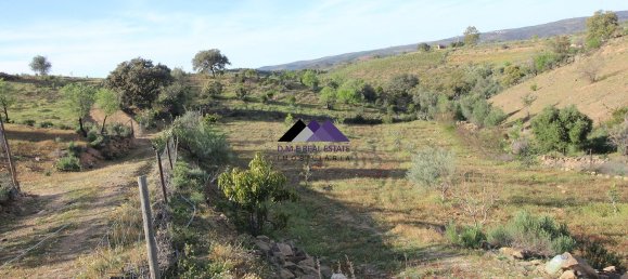 Terreno en Odeleite, Portugal 38320 m² No. 35999 11