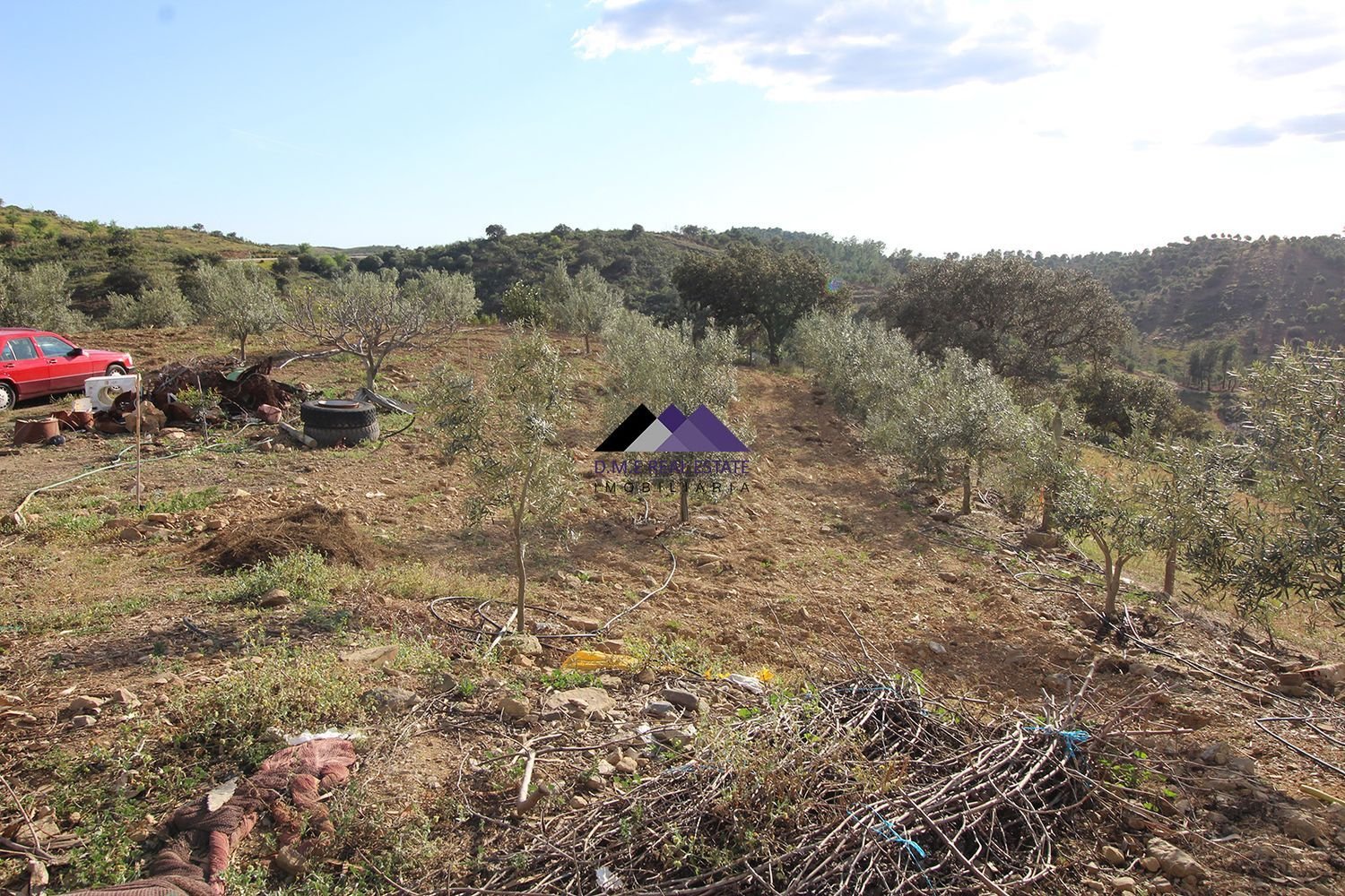 Terreno en Odeleite, Portugal 38320 m² No. 35999