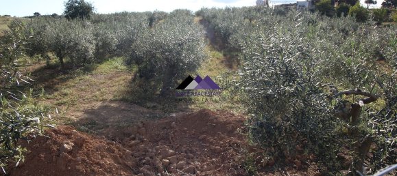 Terreno en Odeleite, Portugal 38320 m² No. 35999 5