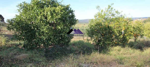 Terreno en Odeleite, Portugal 38320 m² No. 35999 19