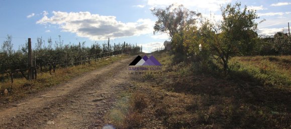 Terreno en Odeleite, Portugal 38320 m² No. 35999 13