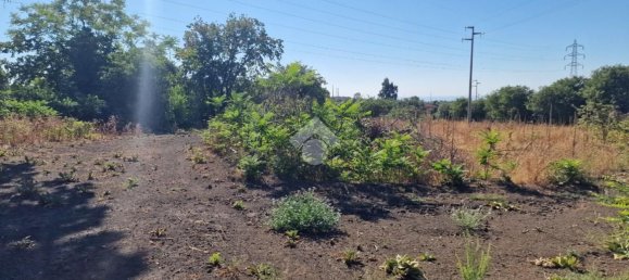 9 غرف نوم منزل في Aci Sant'Antonio, Italy رقم 338678 36