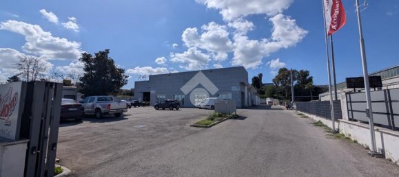 1غرفة مستودع في Pomezia, Italy رقم 52461 11