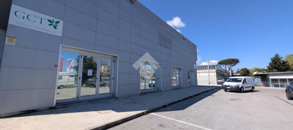 1غرفة مستودع في Pomezia, Italy رقم 52461 81